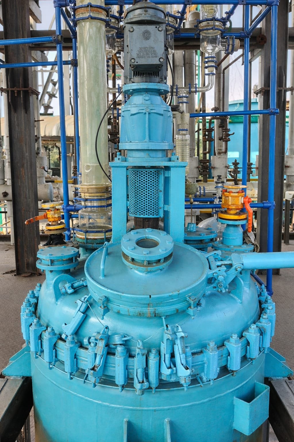 WhatsApp Image 2025-12-31 at 11.12.50 (1)