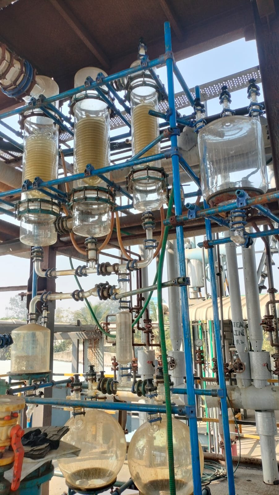 WhatsApp Image 2025-12-31 at 11.38.01